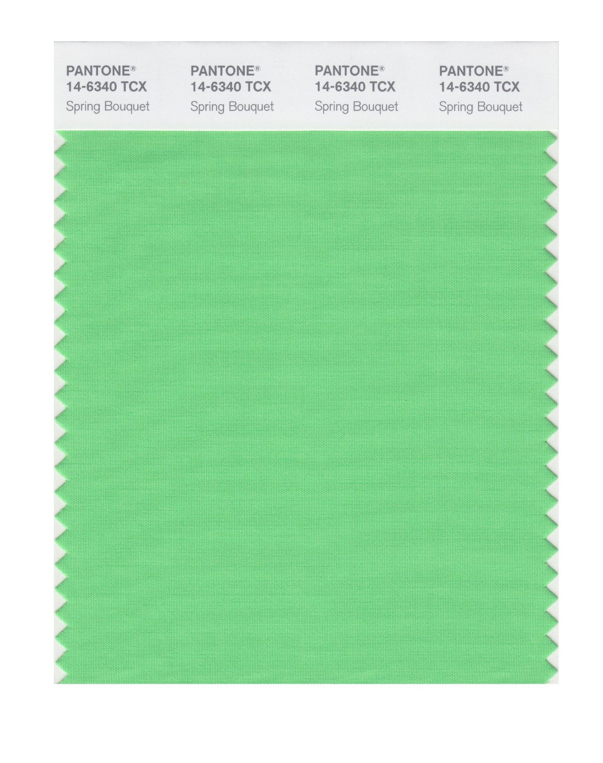 Pantone Cotton Swatch 14-6340 Spring Bouquet