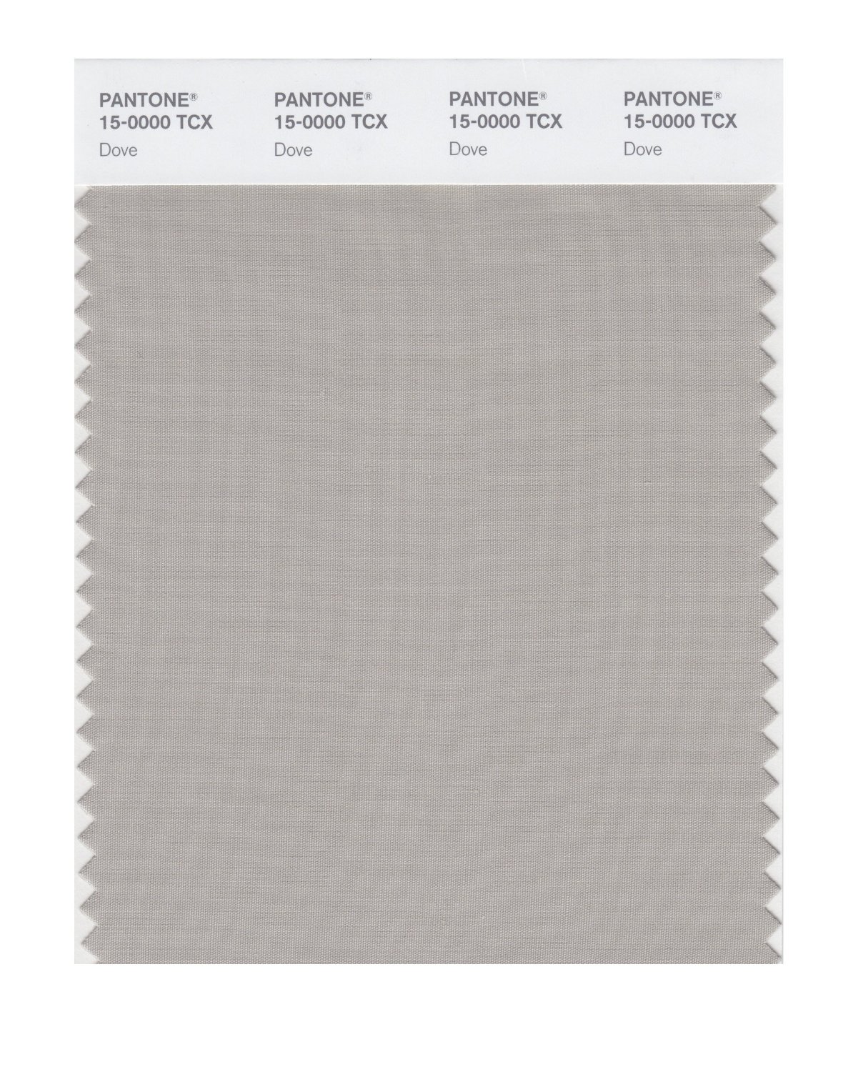 Pantone Cotton Swatch 15-0000 Dove