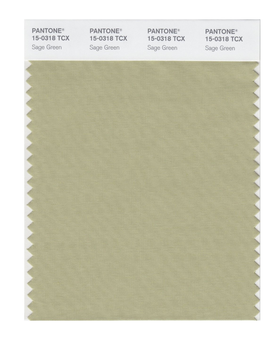 Pantone Cotton Swatch 15-0318 Sage Green