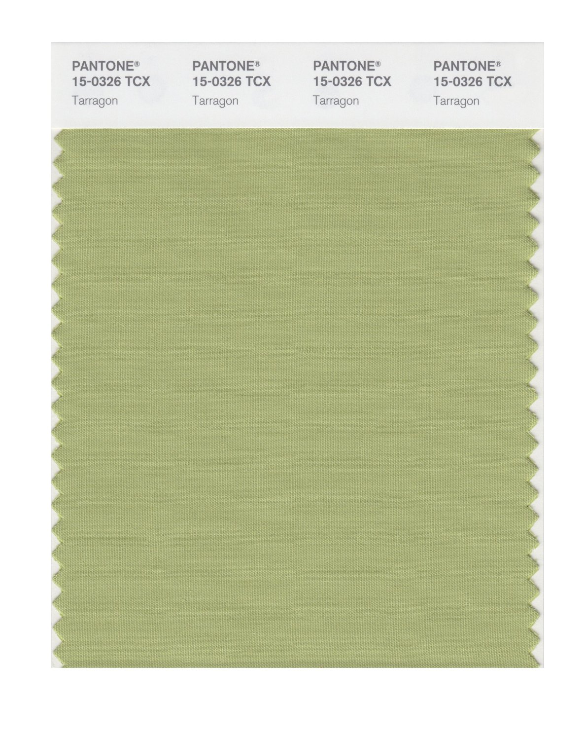 Pantone Cotton Swatch 15-0326 Tarragon