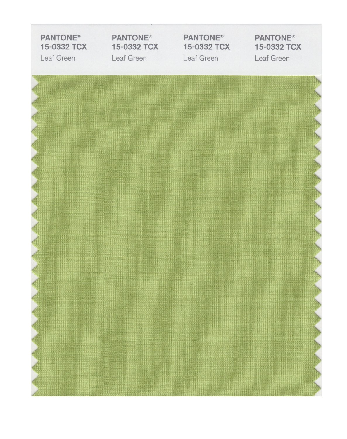 Pantone Cotton Swatch 15-0332 Leaf Green