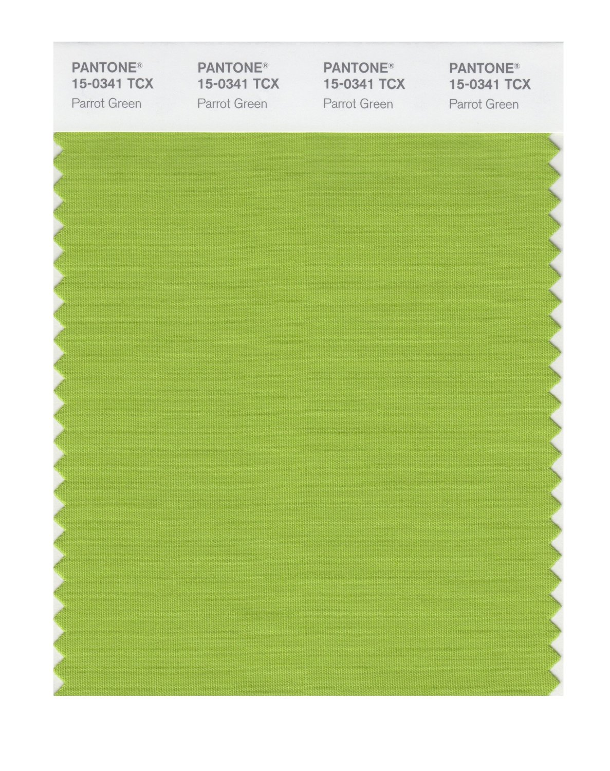 Pantone Cotton Swatch 15-0341 Parrot Green