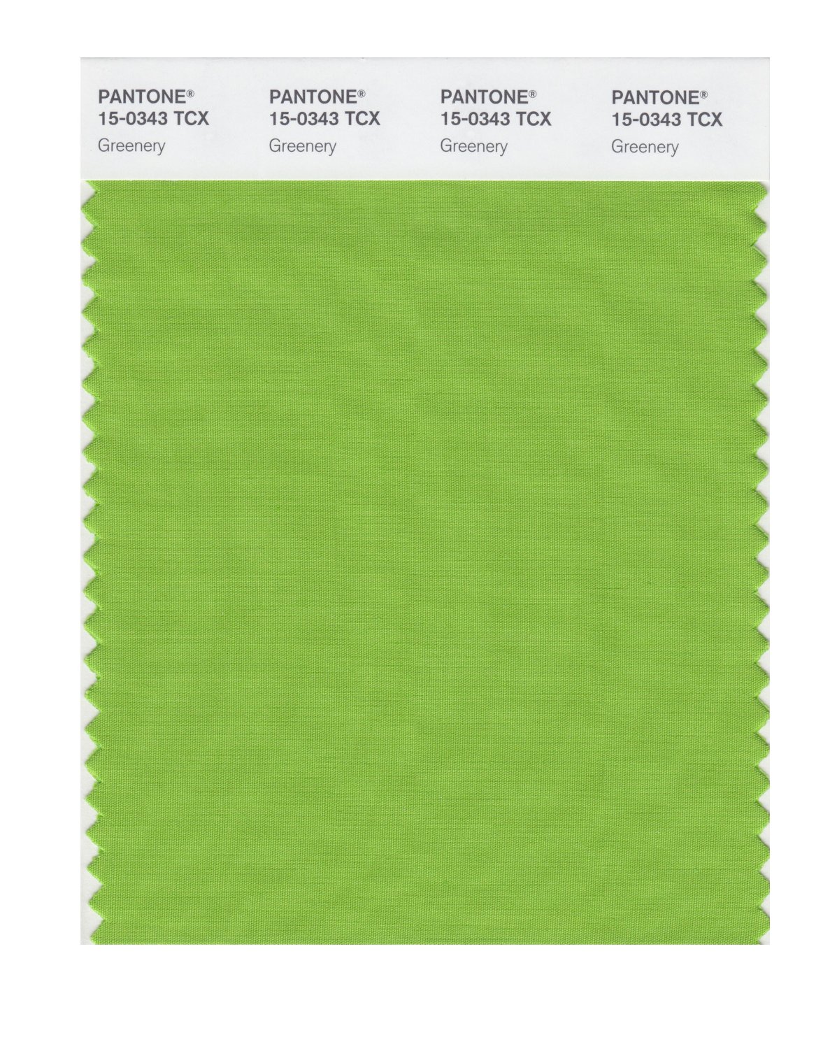 Pantone Cotton Swatch 15-0343 Greenery