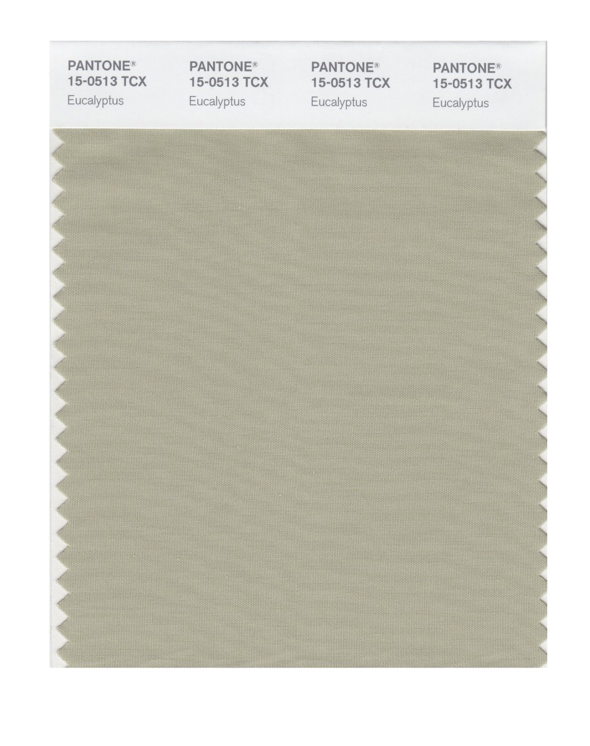 Pantone Cotton Swatch 15-0513 Eucalyptus