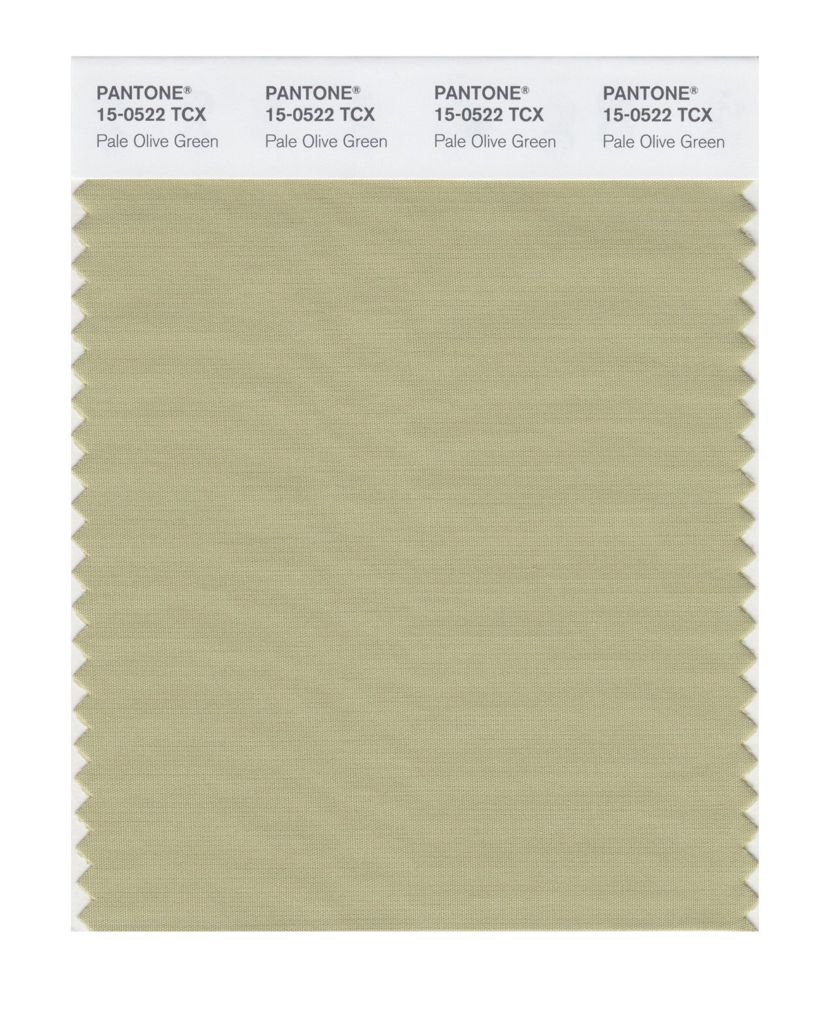 Pantone Cotton Swatch 15-0522 Pale Olive Gree