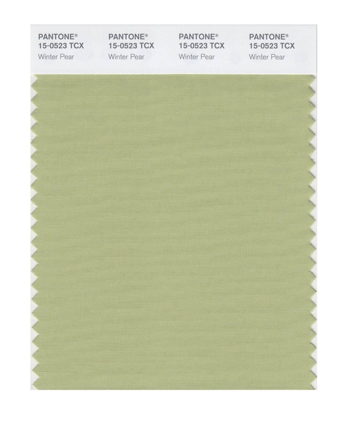 Pantone Cotton Swatch 15-0523 Winter Pear