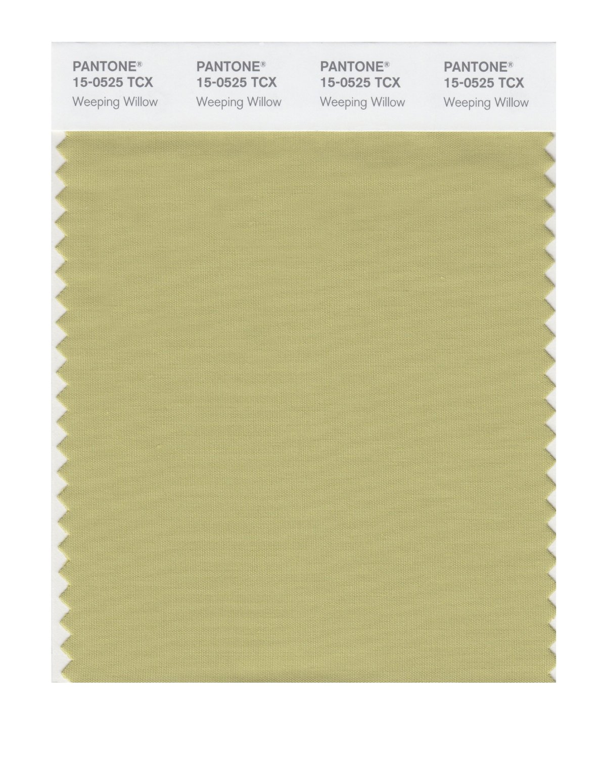 Pantone Cotton Swatch 15-0525 Weeping Willow