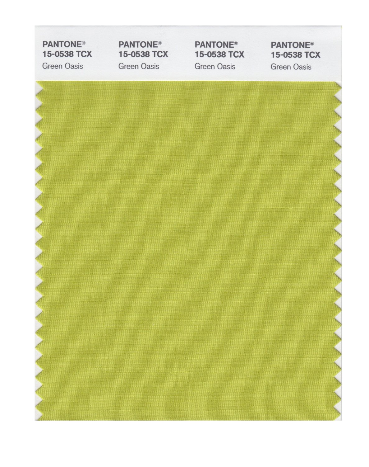 Pantone Cotton Swatch 15-0538 Green Oasis