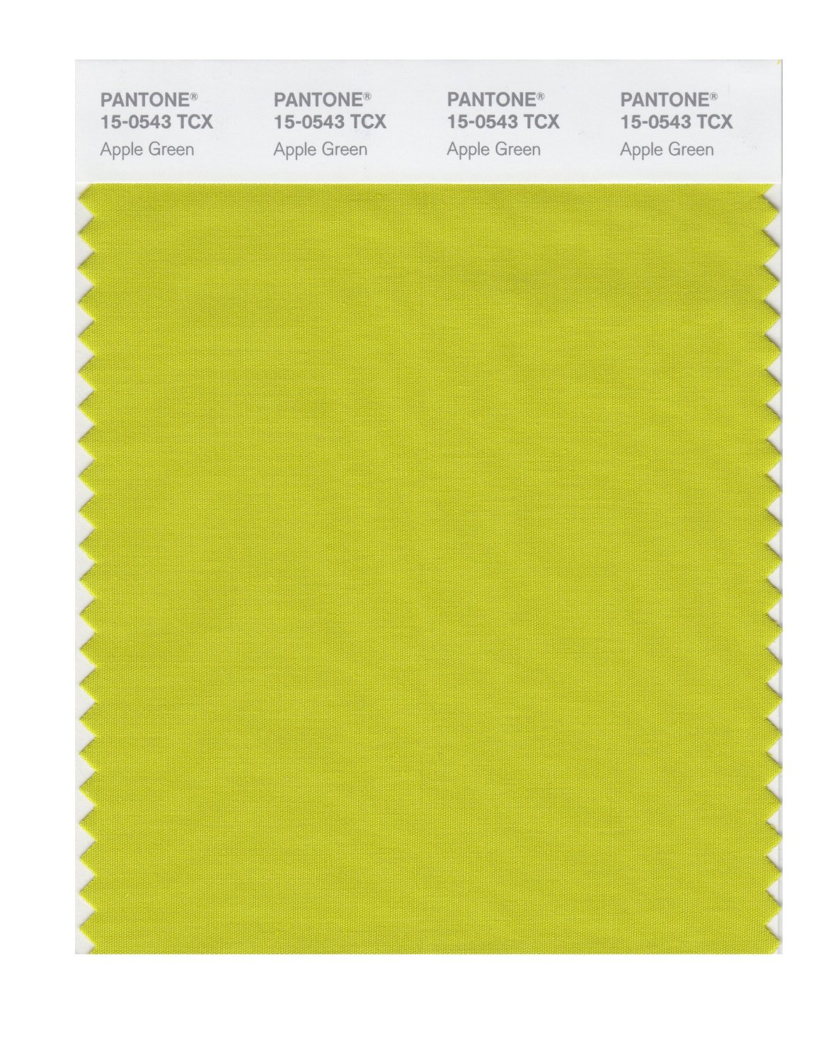 Pantone Cotton Swatch 15-0543 Apple Green