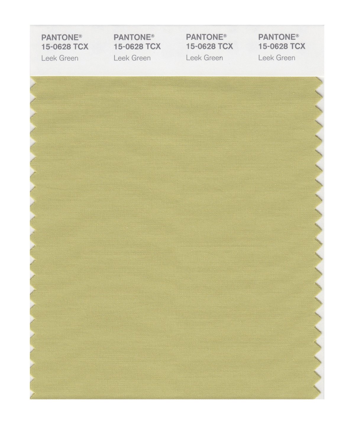Pantone Cotton Swatch 15-0628 Leek Green