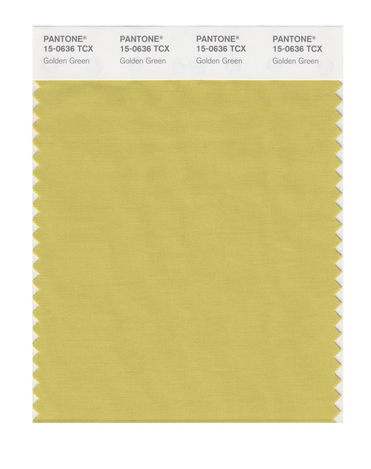 Pantone Cotton Swatch 15-0636 Golden Green