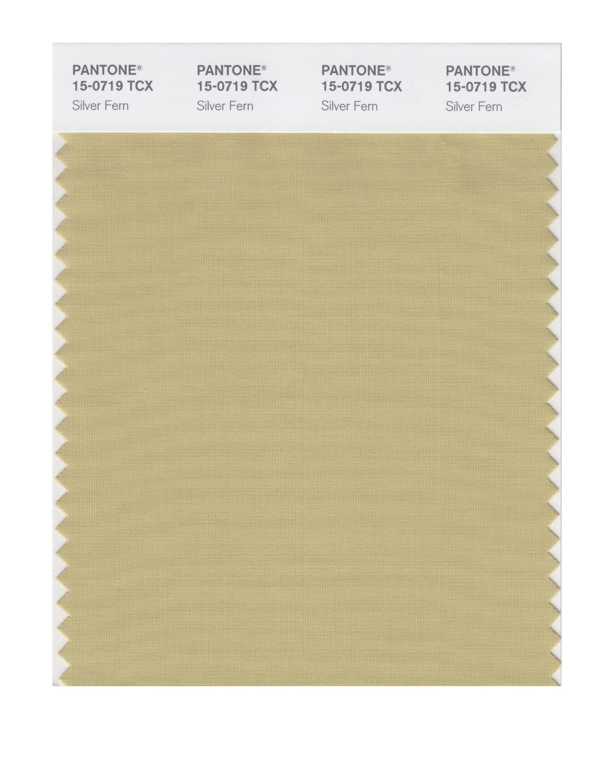 Pantone Cotton Swatch 15-0719 Silver Fern