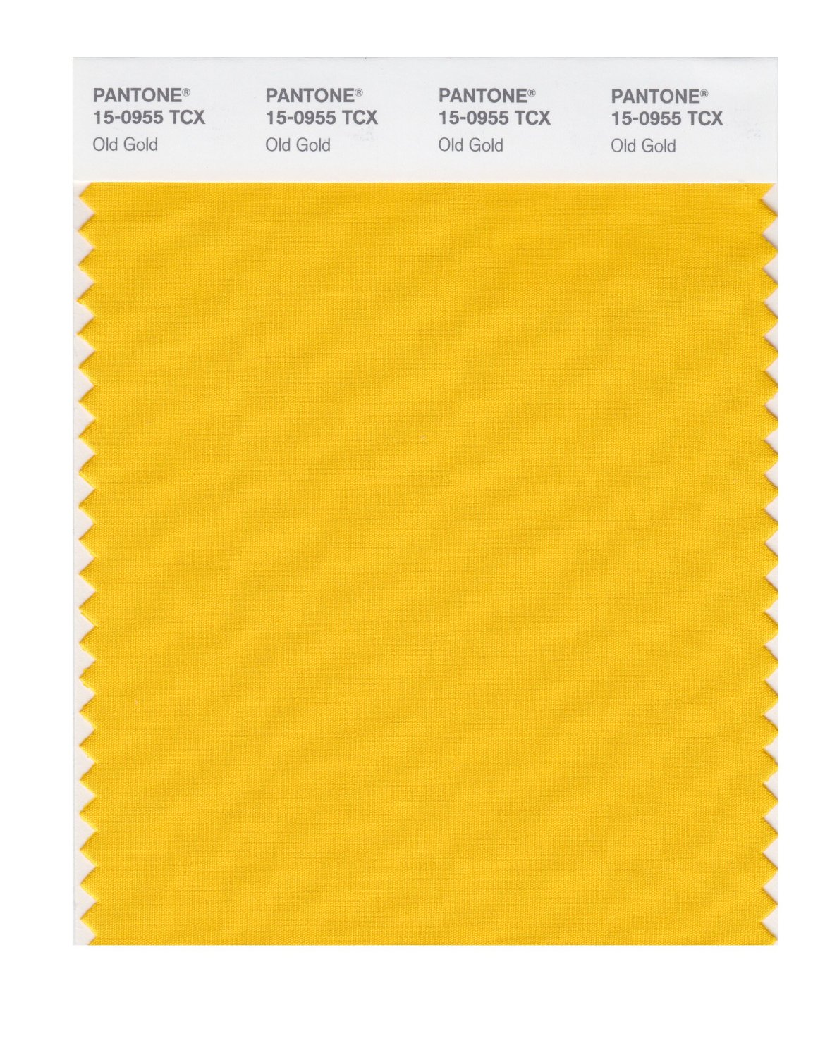 Pantone Cotton Swatch 15-0955 Old Gold