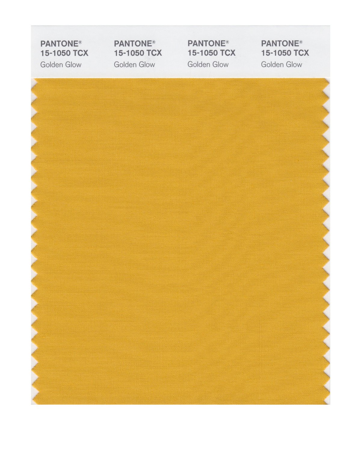 Pantone Cotton Swatch 15-1050 Golden Glow