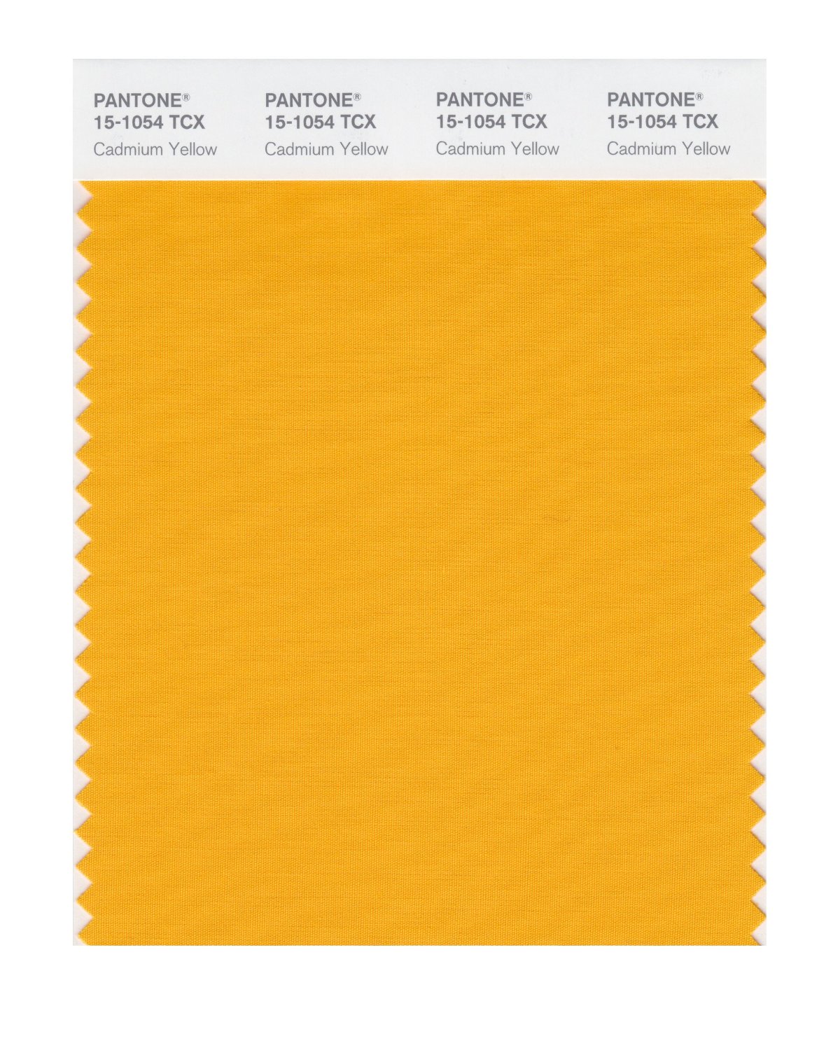 Pantone Cotton Swatch 15-1054 Cadmium Yellow