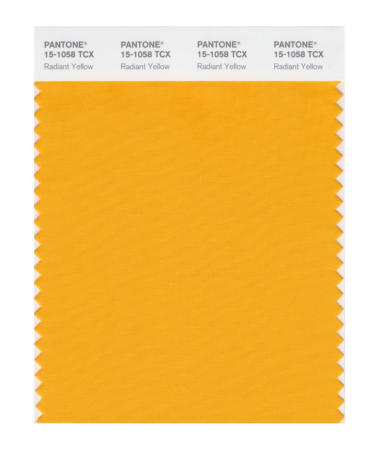 Pantone Cotton Swatch 15-1058 Radiant Yellow