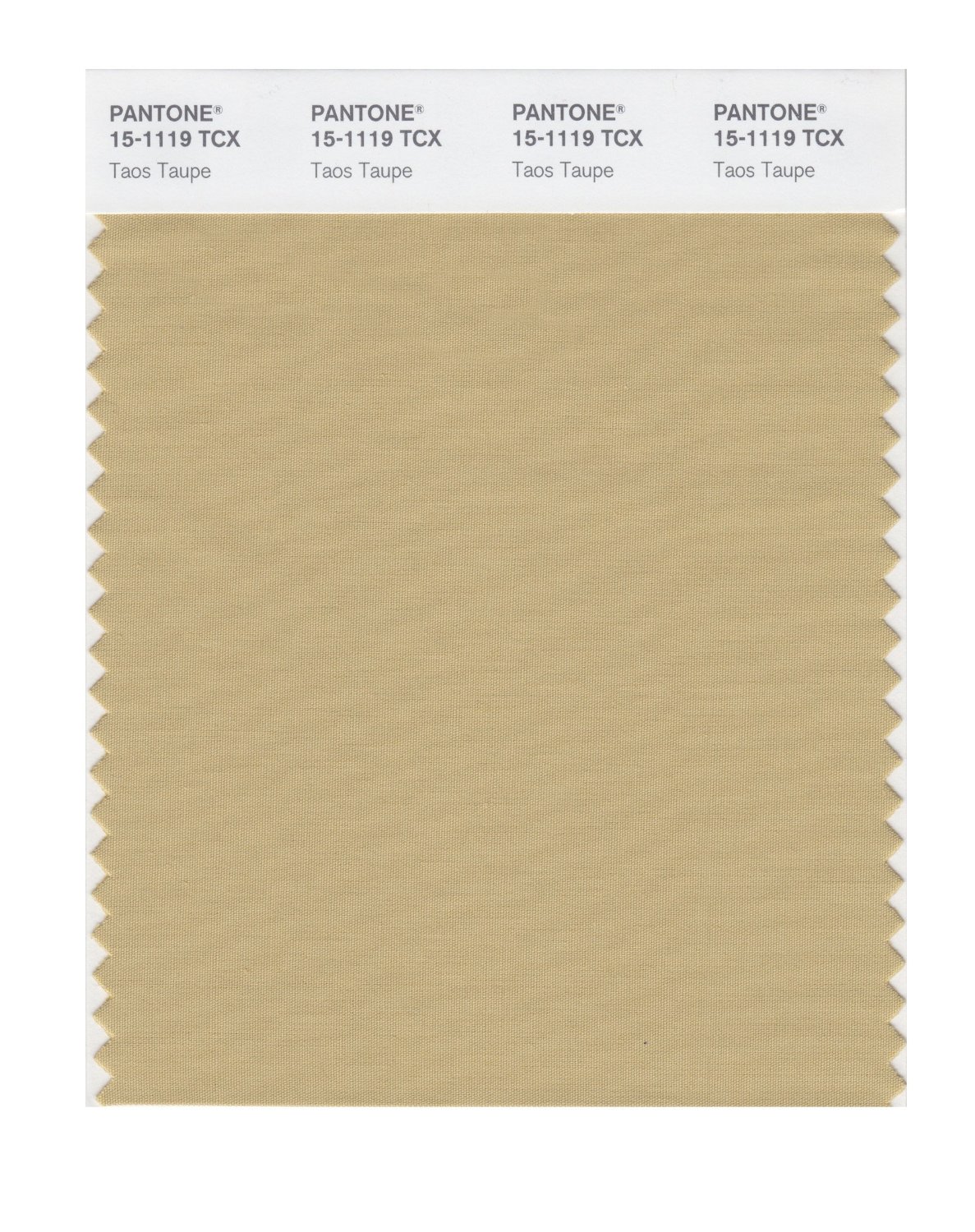 Pantone Cotton Swatch 15-1119 Taos Taupe