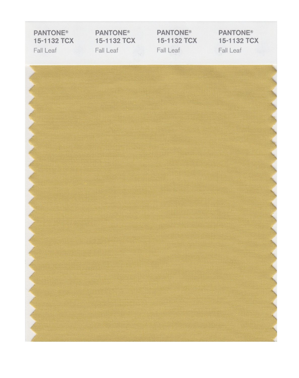 Pantone Cotton Swatch 15-1132 Fall Leaf