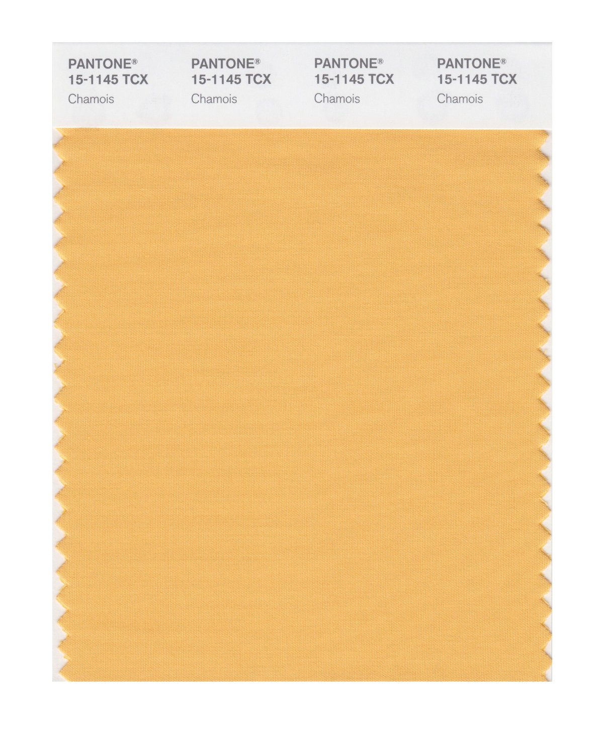 Pantone Cotton Swatch 15-1145 Chamois