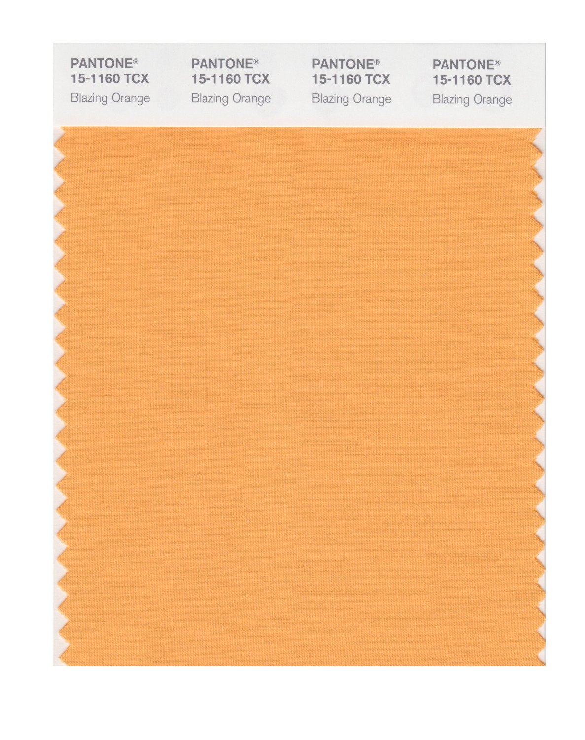 Pantone Cotton Swatch 15-1160 Blazing Orange