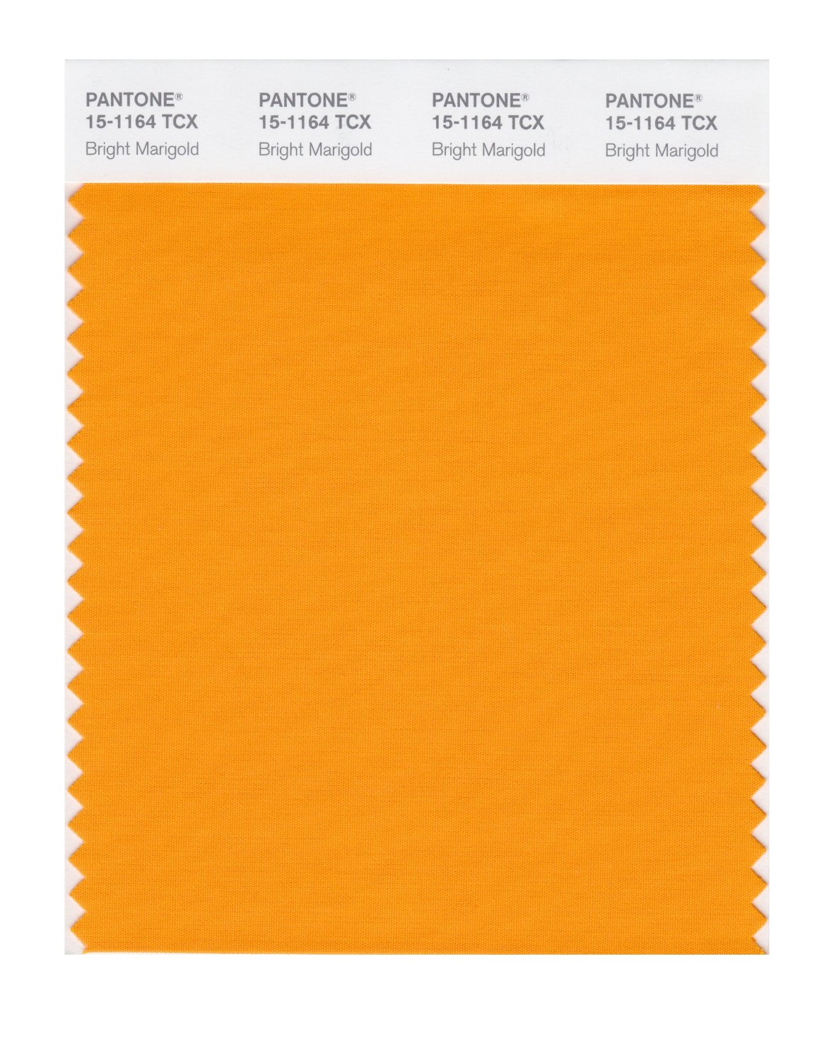 Pantone Cotton Swatch 15-1164 Bright Marigold