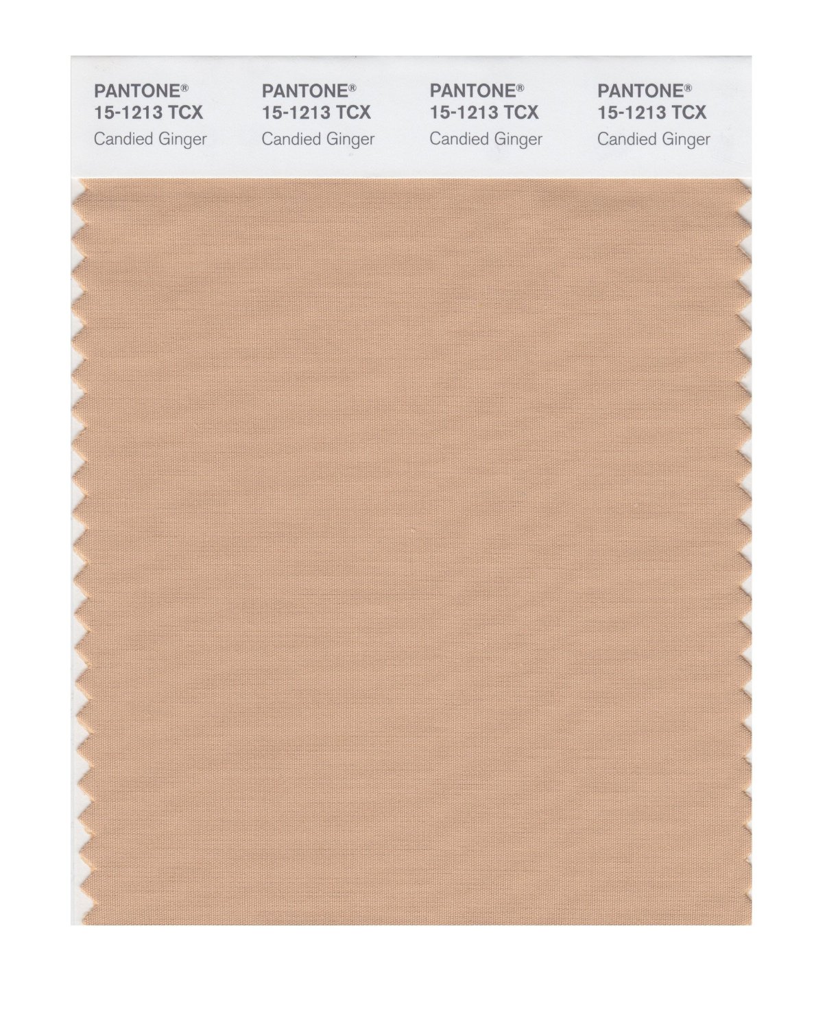 Pantone Cotton Swatch 15-1213 Candied Ginger