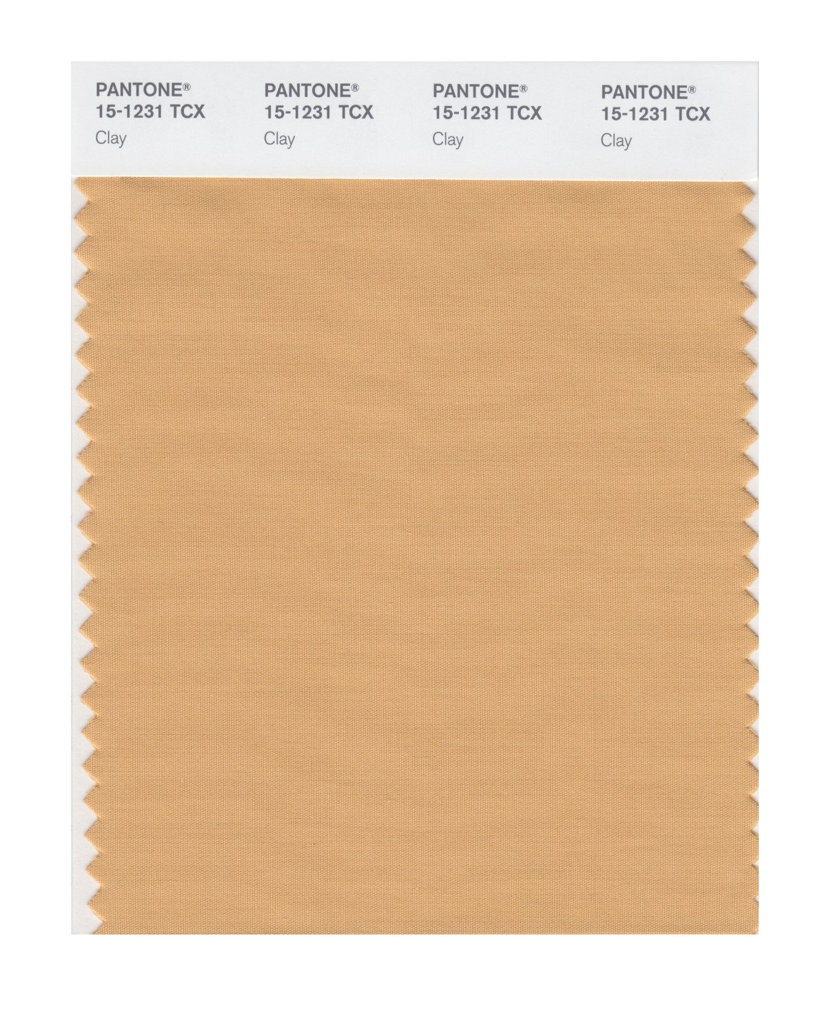 Pantone Cotton Swatch 15-1231 Clay