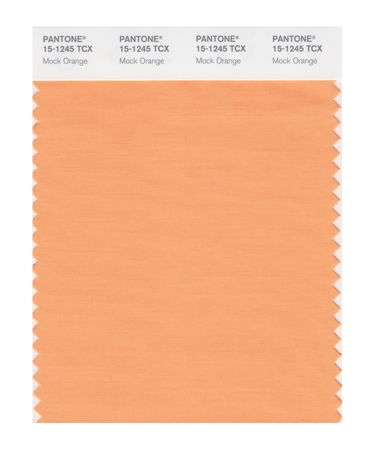 Pantone Cotton Swatch 15-1245 Mock Orange