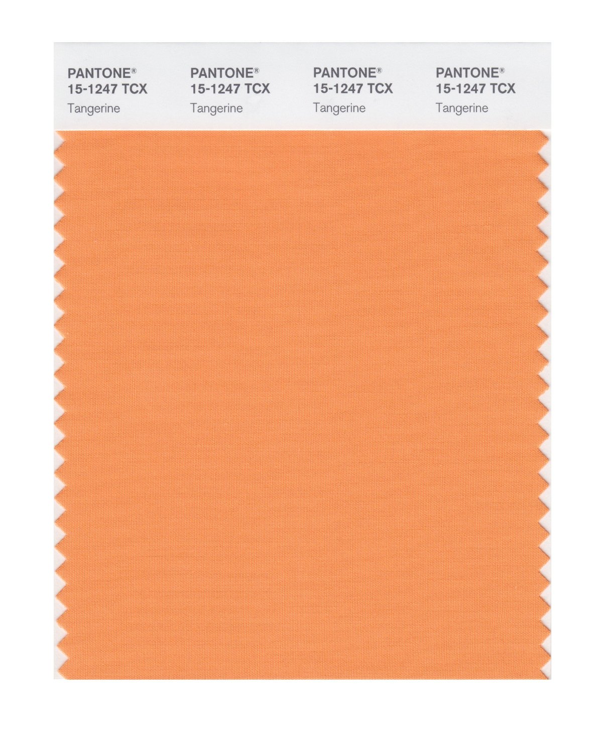 Pantone Cotton Swatch 15-1247 Tangerine