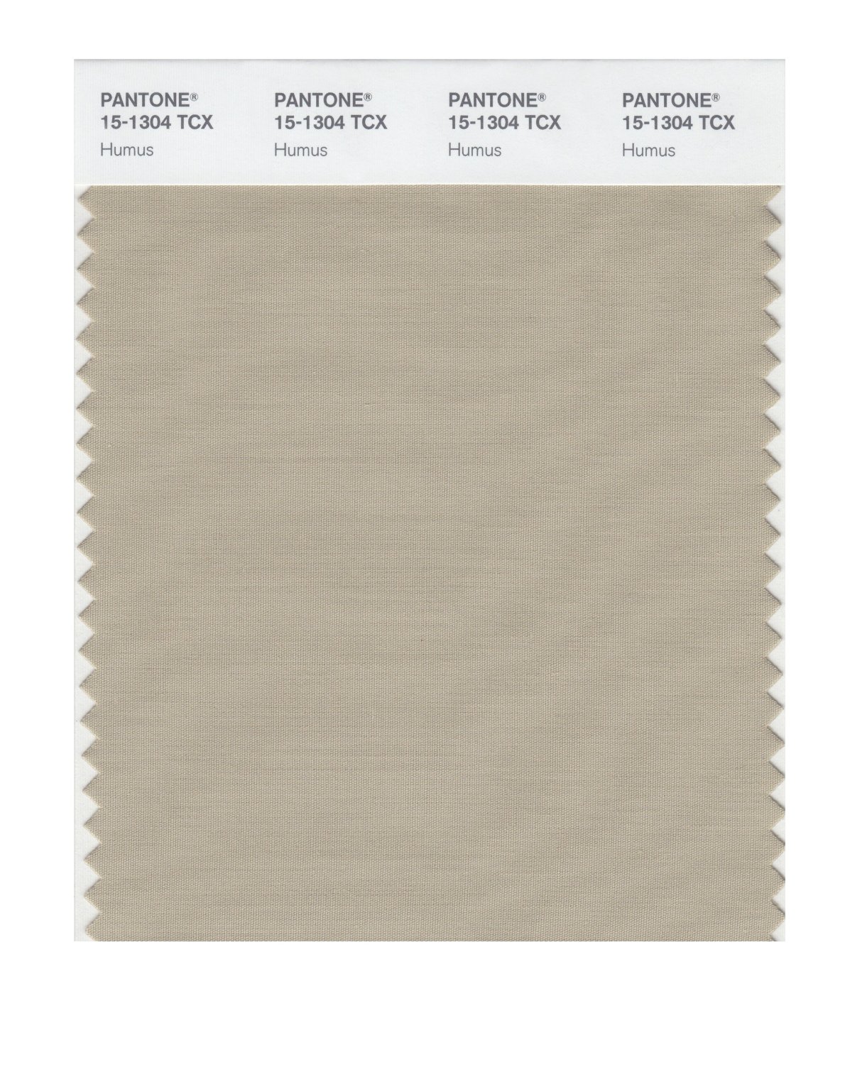 Pantone Cotton Swatch 15-1304 Humus