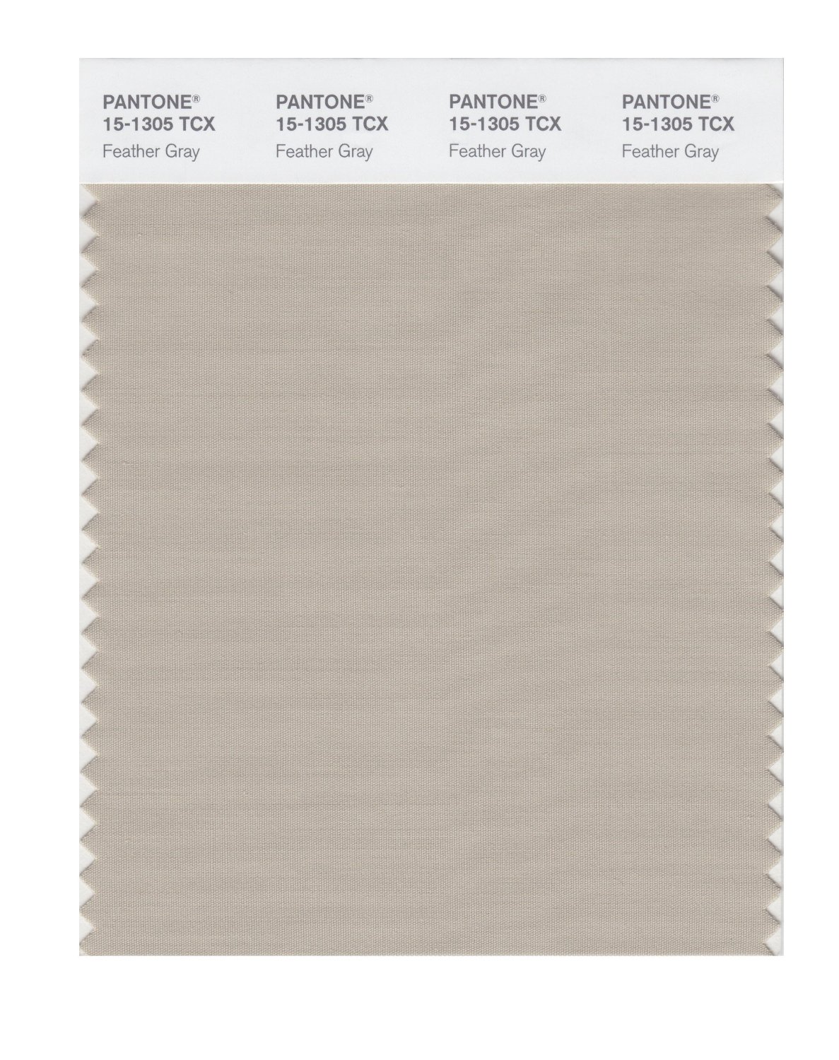 Pantone Cotton Swatch 15-1305 Feather Gray