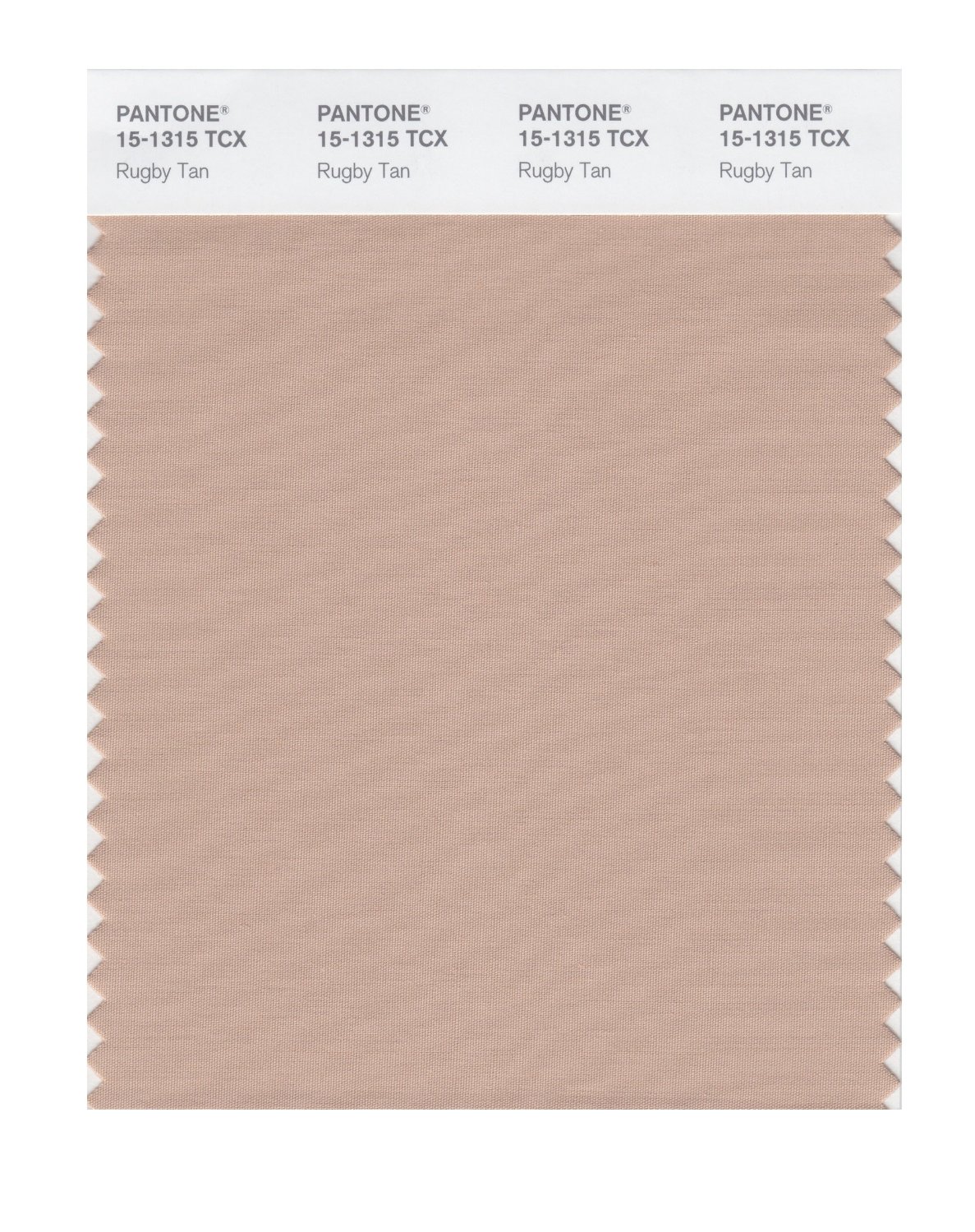 Pantone Cotton Swatch 15-1315 Rugby Tan