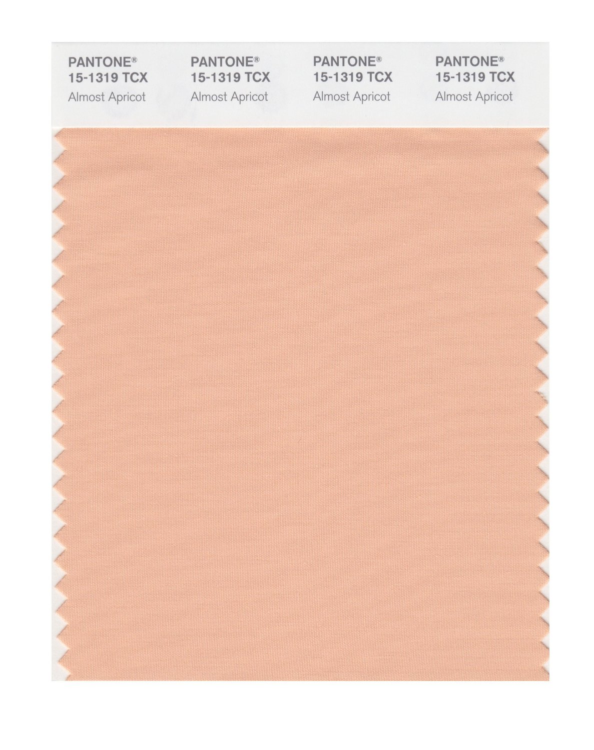 Pantone Cotton Swatch 15-1319 Almost Apricot