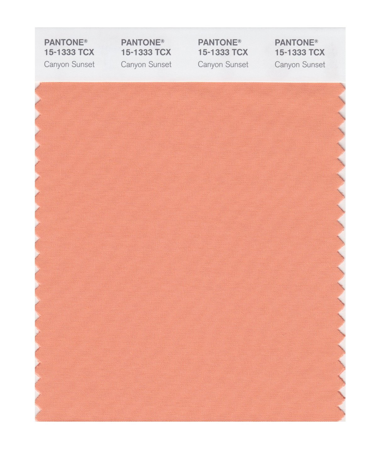 Pantone Cotton Swatch 15-1333 Canyon Sunset