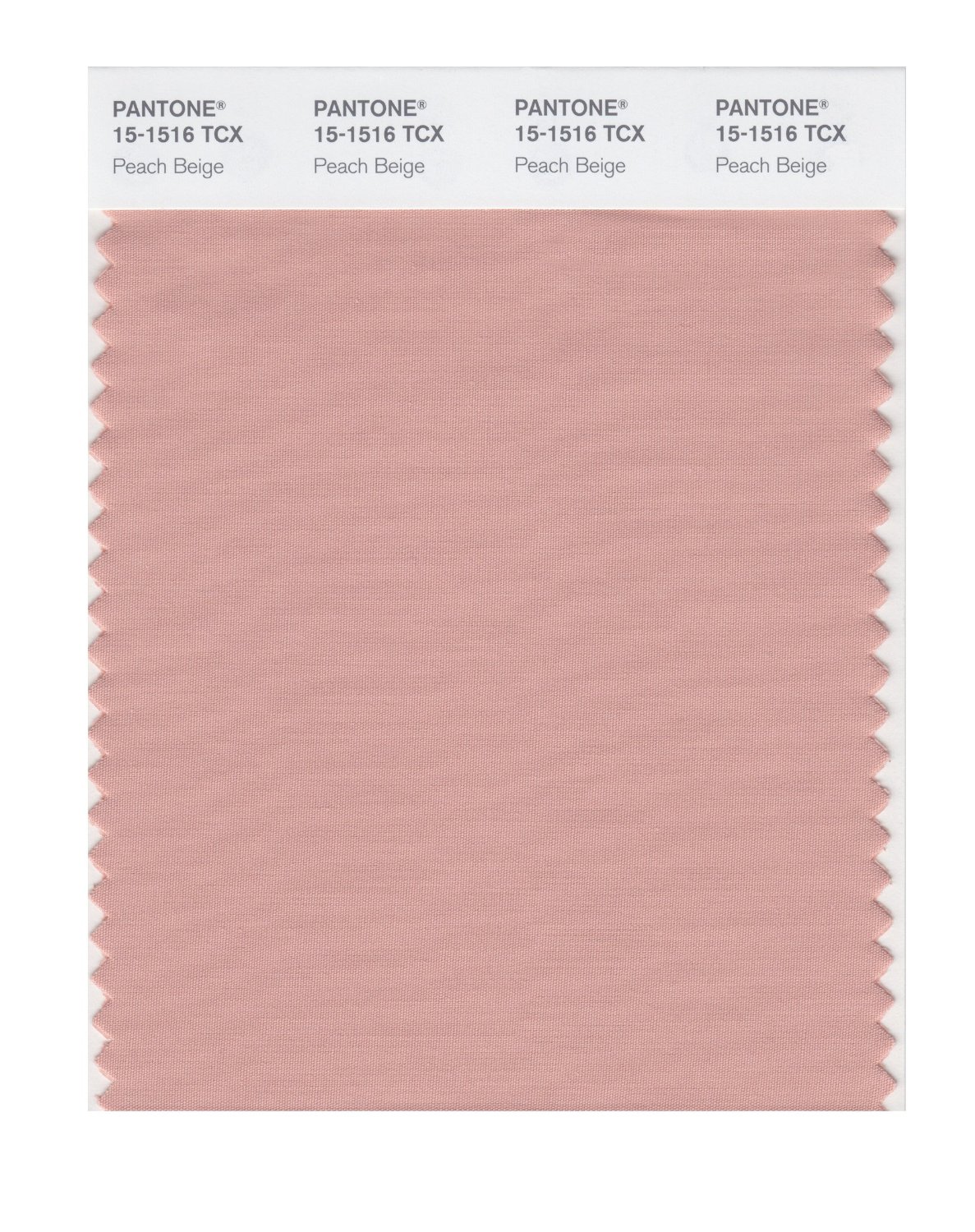 Pantone Cotton Swatch 15-1516 Peach Beige