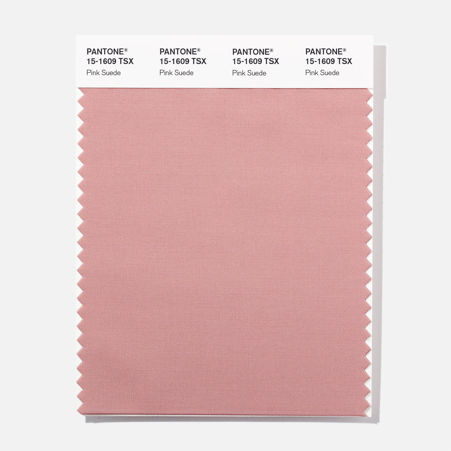 Pantone Polyester Swatch 15-1609 Pink Suede