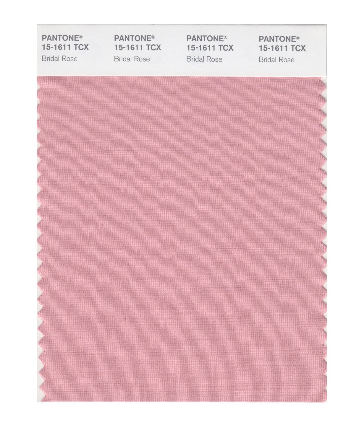 Pantone Cotton Swatch 15-1611 Bridal Rose