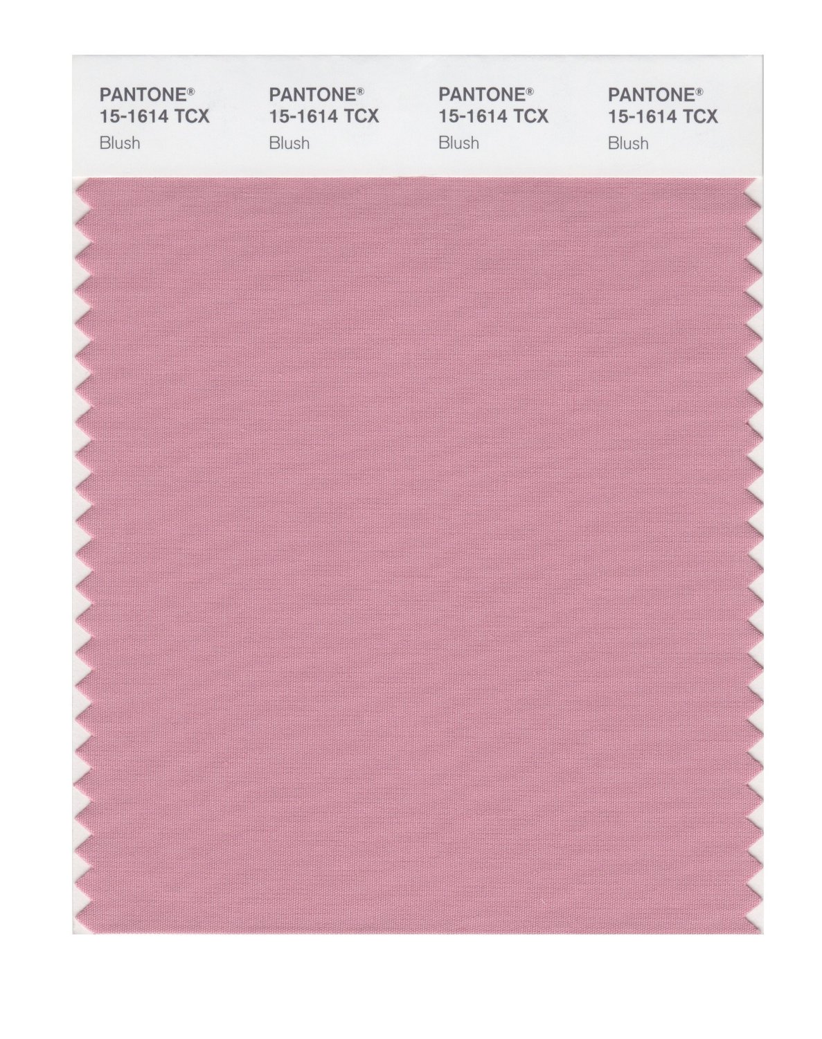 Pantone Cotton Swatch 15-1614 Rose Elegance