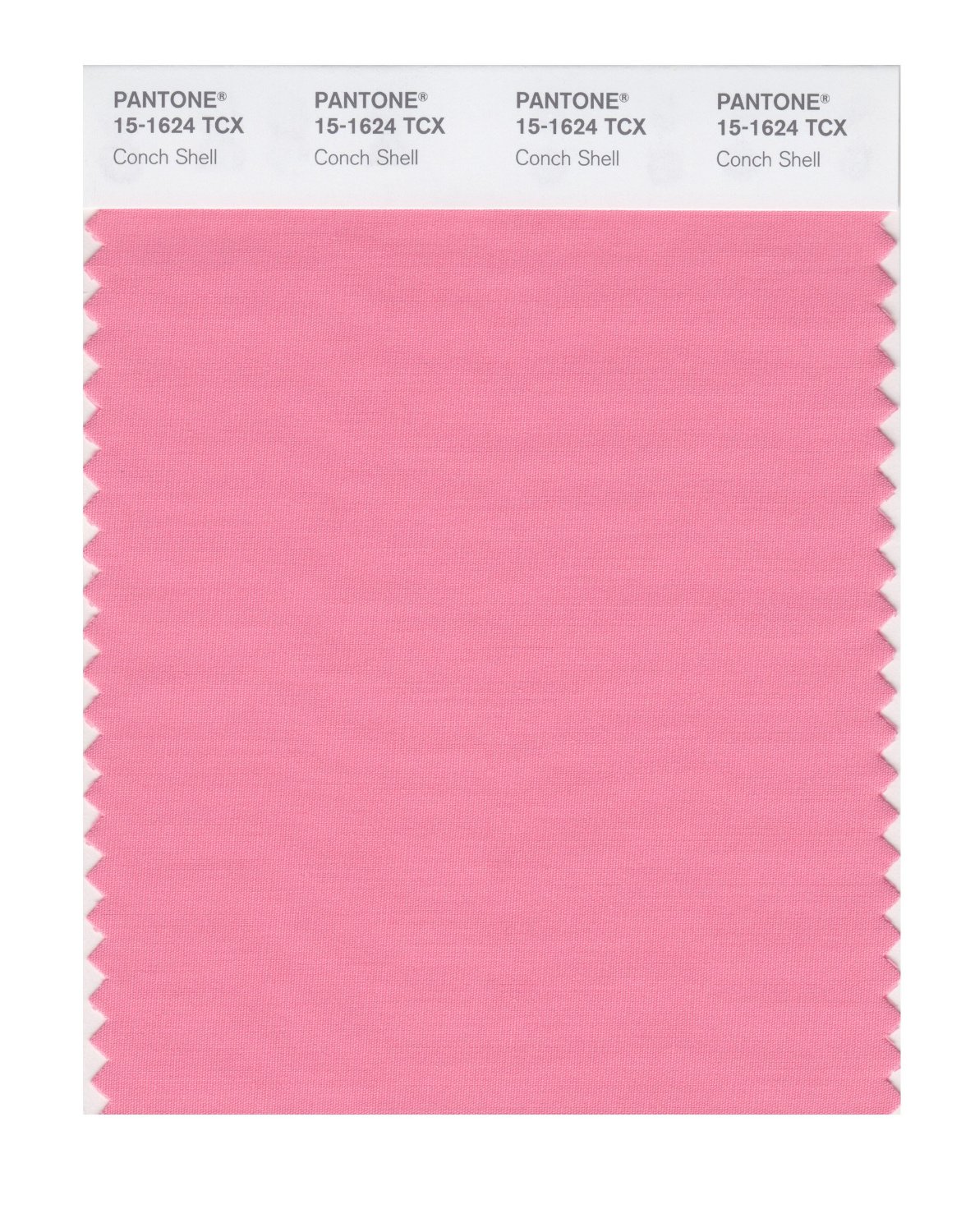 Pantone Cotton Swatch 15-1624 Conch Shell