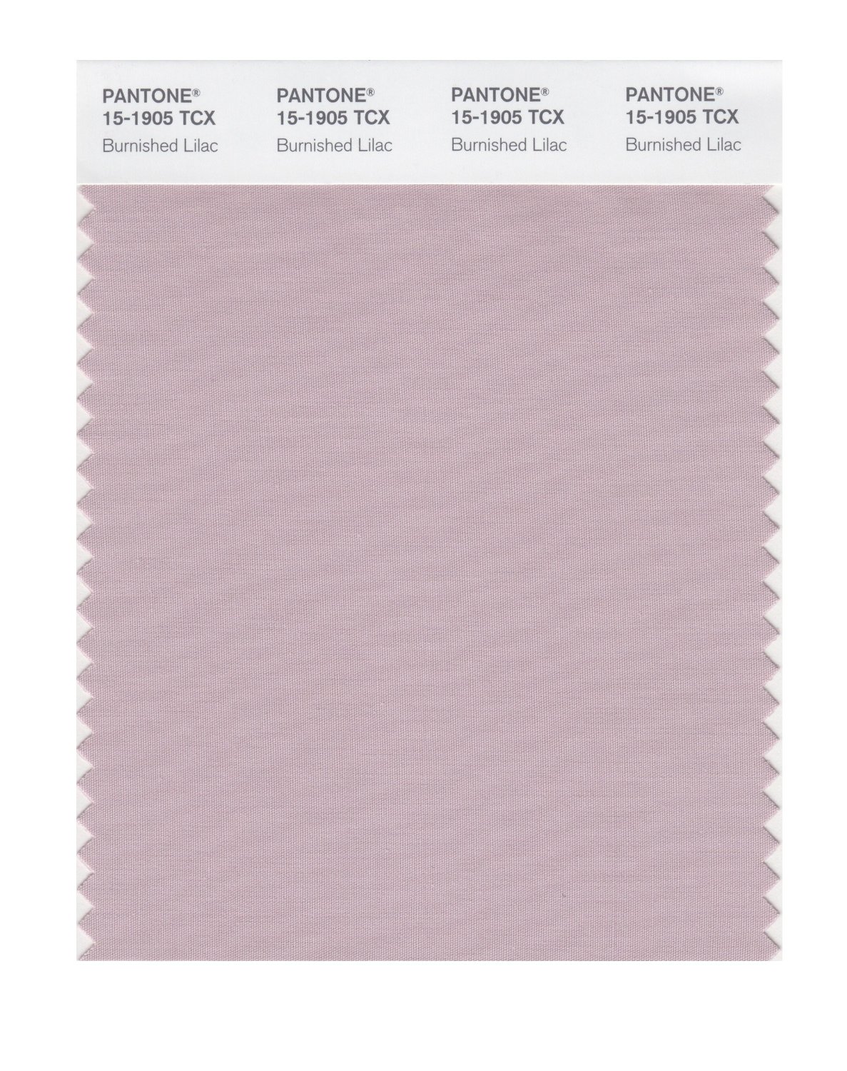 Pantone Cotton Swatch 15-1905 Burnished Lilac
