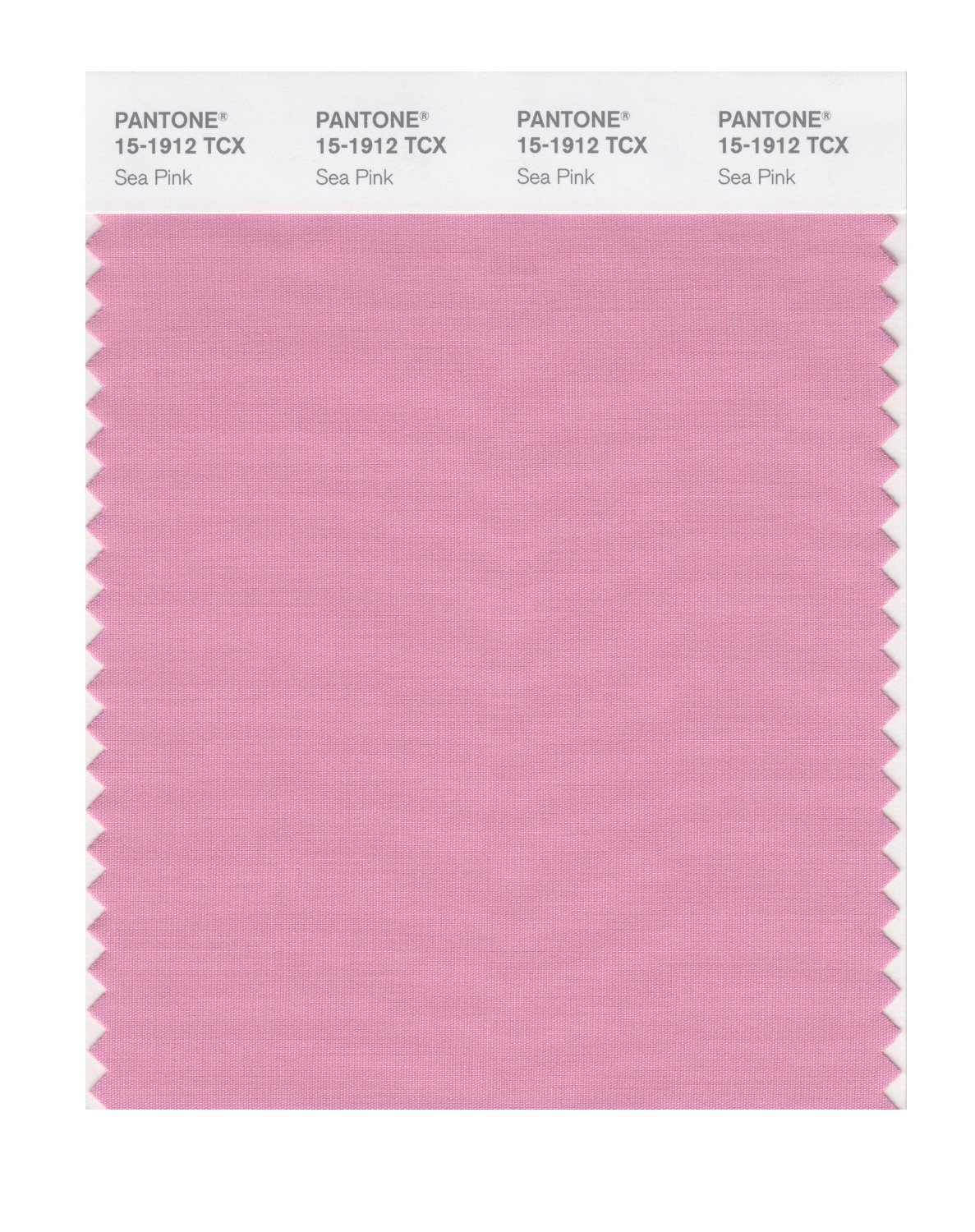 Pantone Cotton Swatch 15-1912 Sea Pink