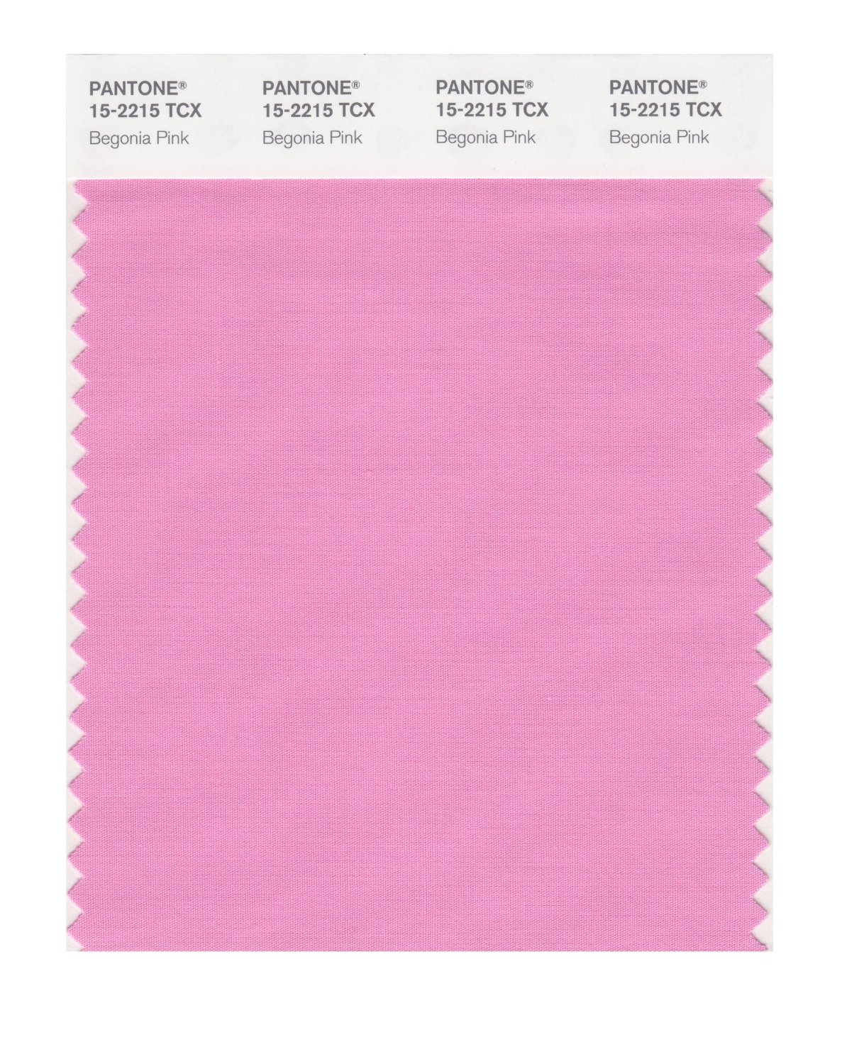 Pantone Cotton Swatch 15-2215 Begonia Pink