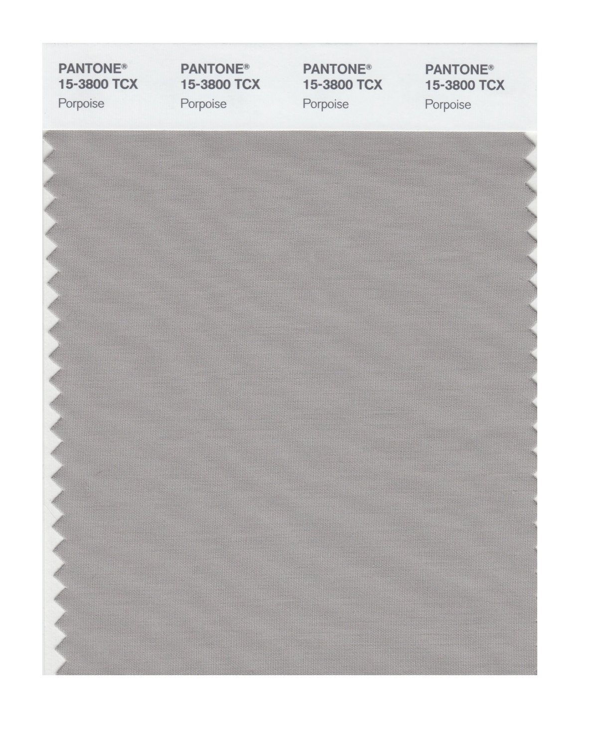 Pantone Cotton Swatch 15-3800 Porpoise