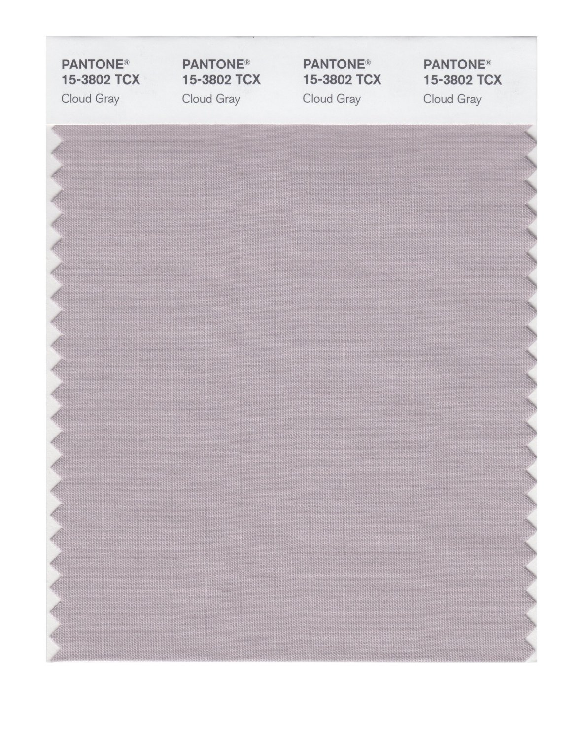 Pantone Cotton Swatch 15-3802 Cloud Gray