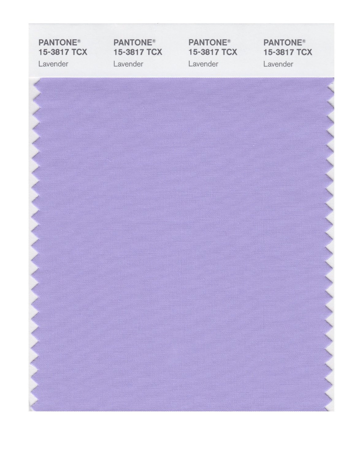 Pantone Cotton Swatch 15-3817 Lavender