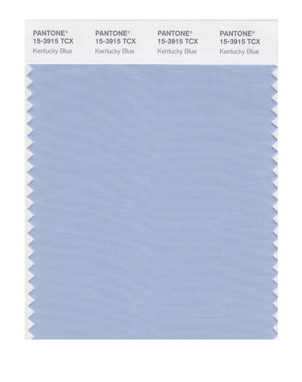 Pantone Cotton Swatch 15-3915 Kentucky Blue