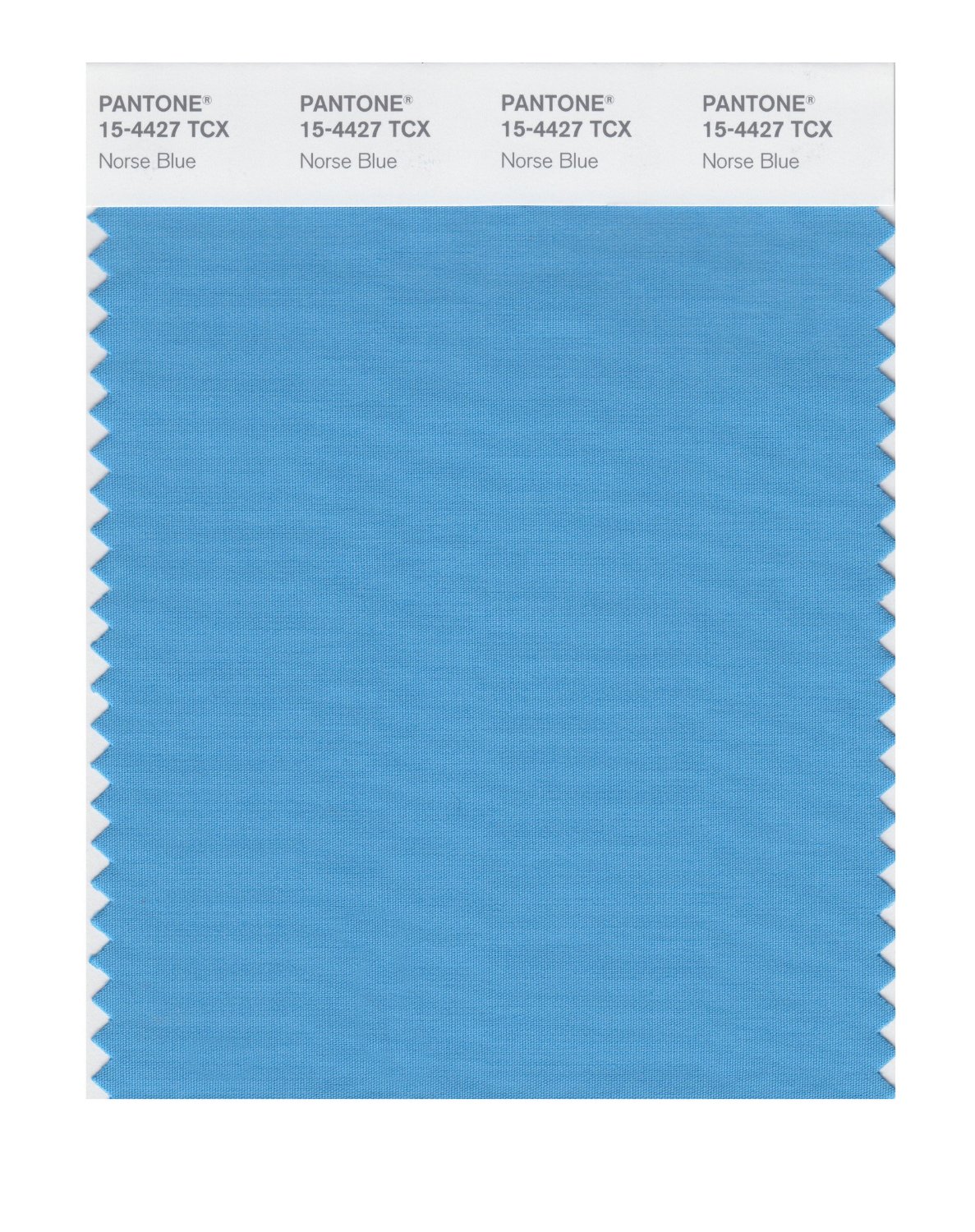 Pantone Cotton Swatch 15-4427 Norse Blue