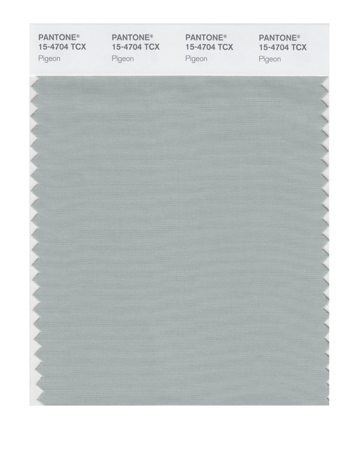 Pantone Cotton Swatch 15-4704 Pigeon