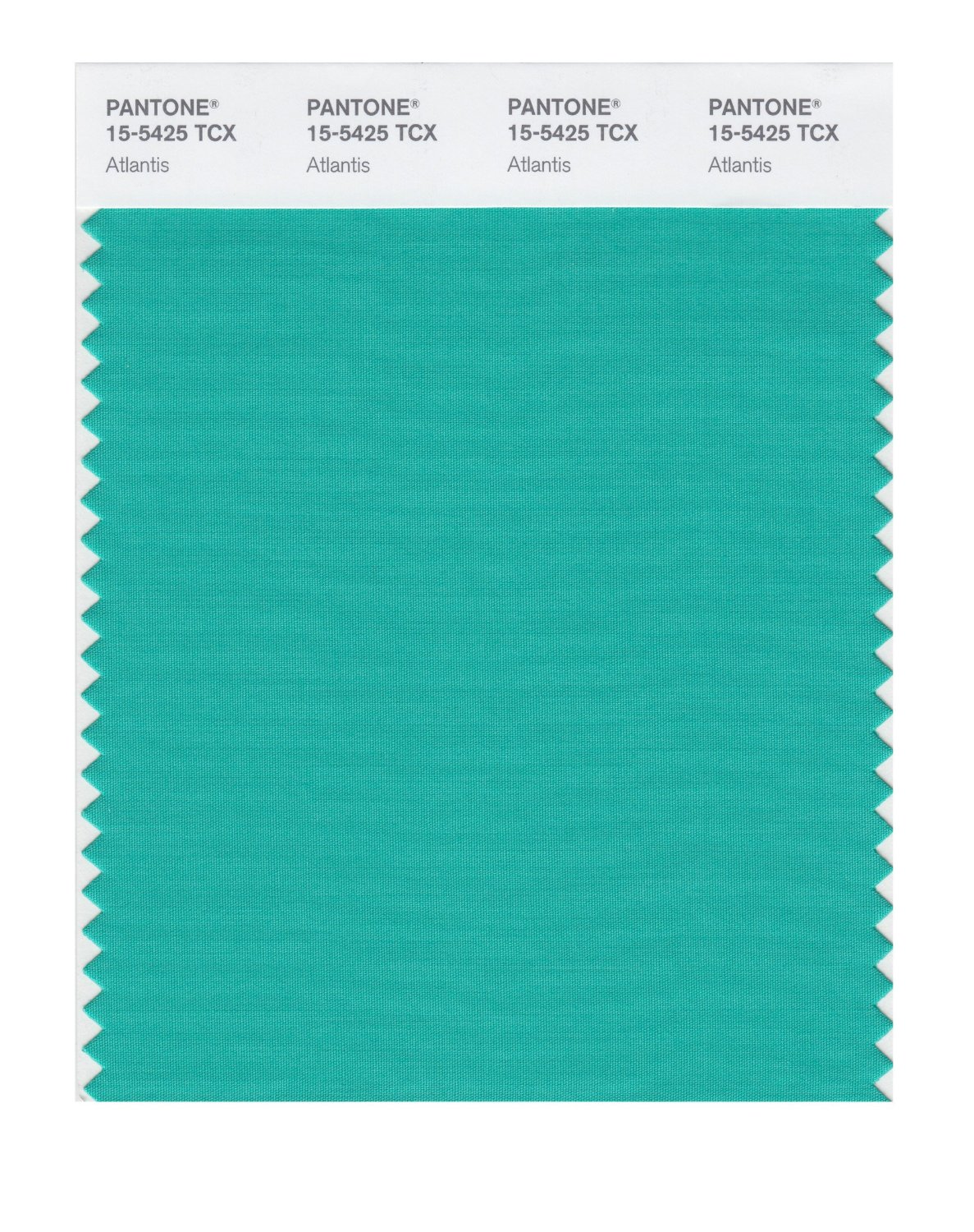 Pantone Cotton Swatch 15-5425 Atlantis