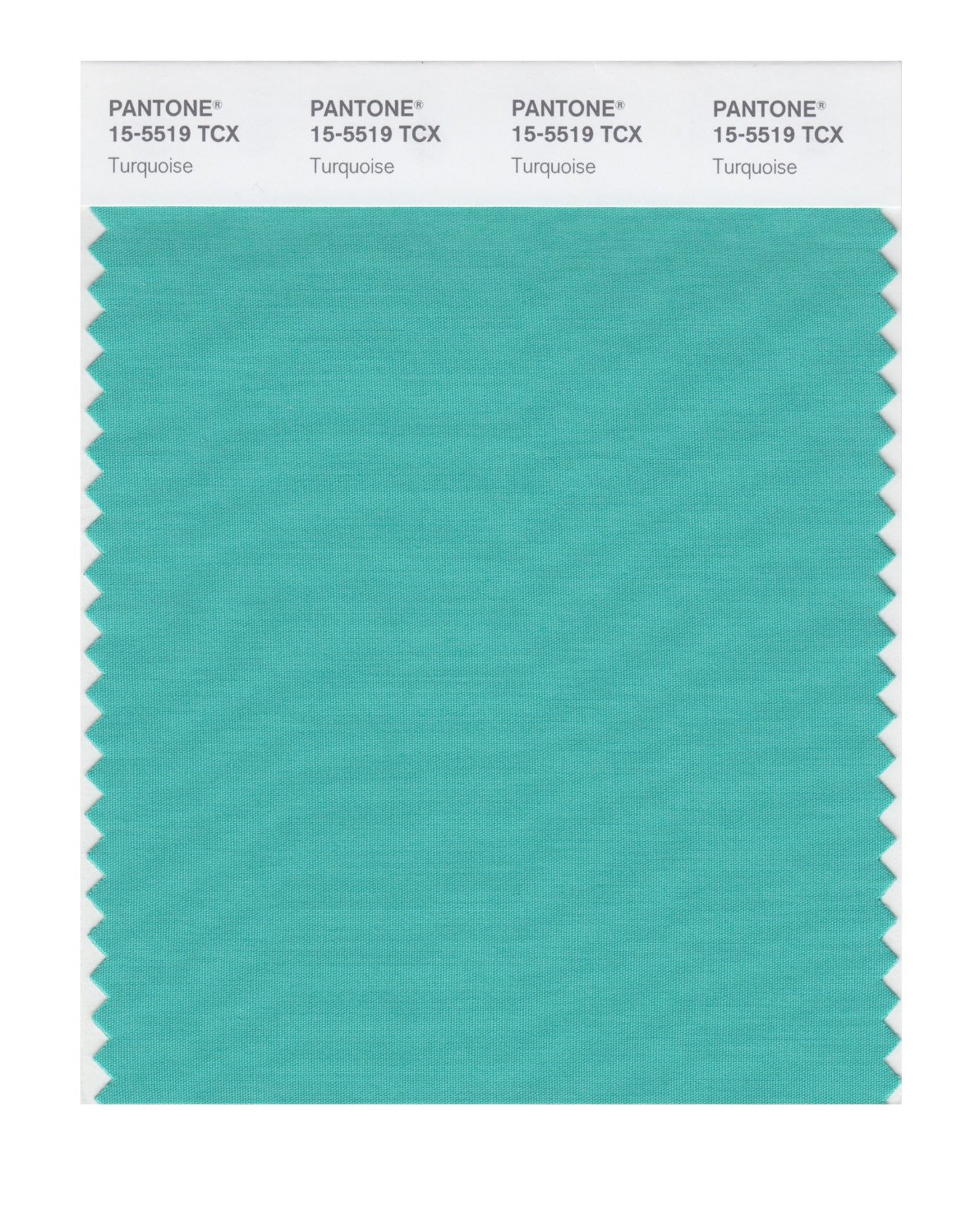 Pantone Cotton Swatch 15-5519 Turquoise